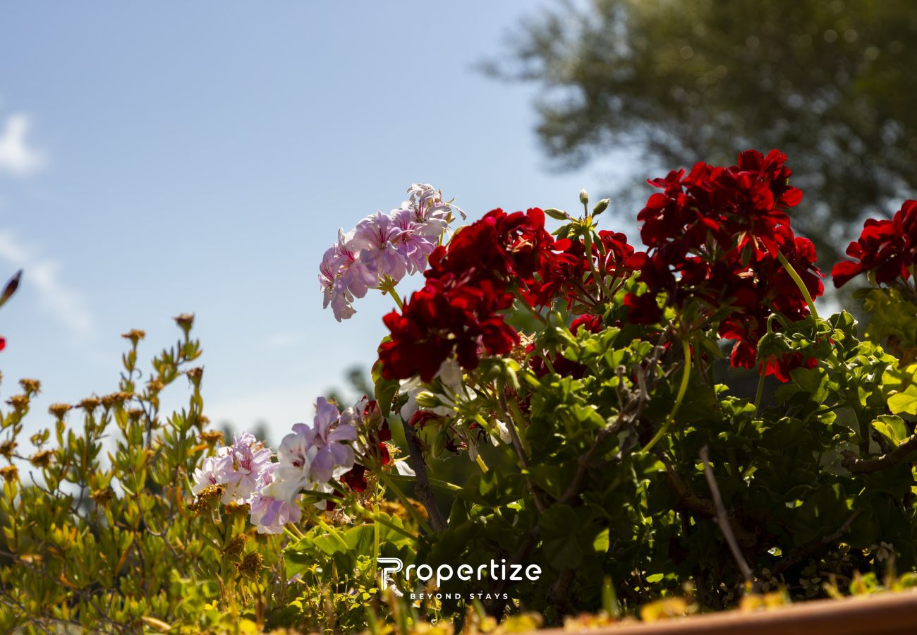 Villa en Monti - Villa Rurale con Vista by Propertize