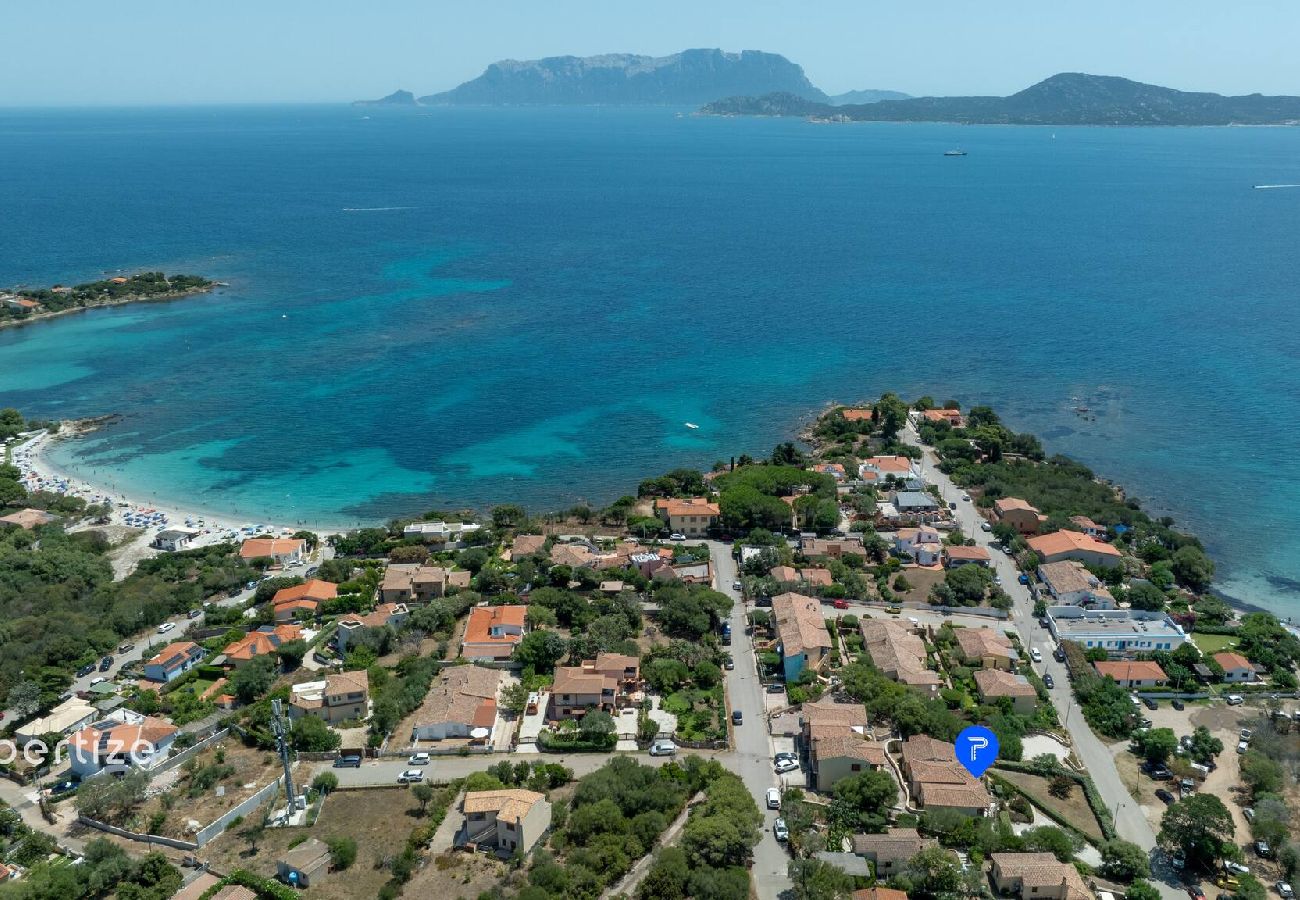 Villa in Pittulongu - Villa Azzurra by Propertize